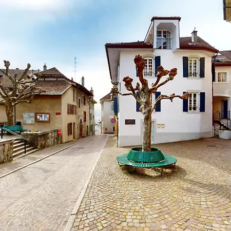 Charming In The Center Of Apartment *